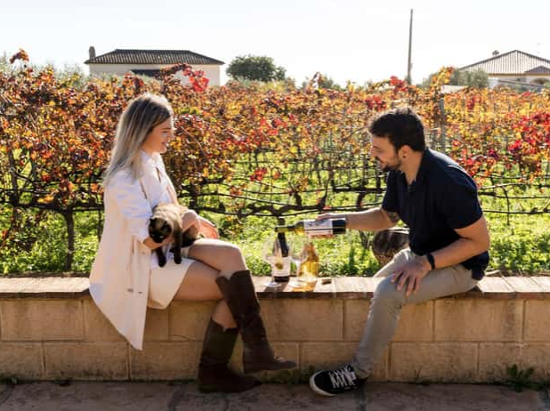 Visita a viñedo y bodega en Álora con 6 vinos y tapas