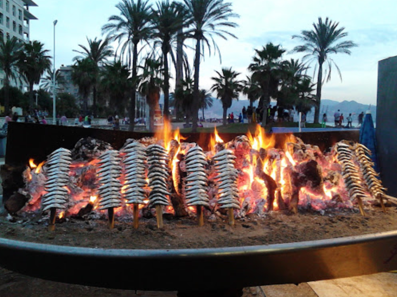 Espetos de sardinas ensartados en cañas y asados sobre brasas de leña en una playa de Málaga