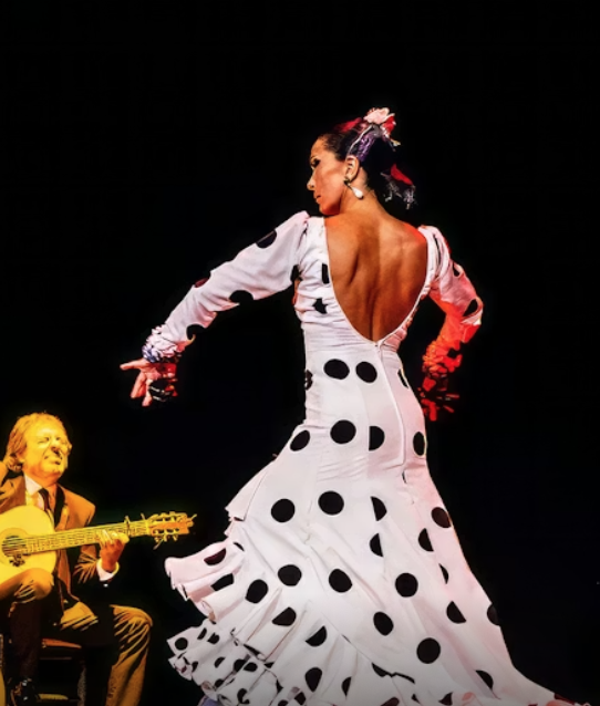 Bailaora de flamenco con vestido rojo tradicional actuando en un tablao de Málaga
